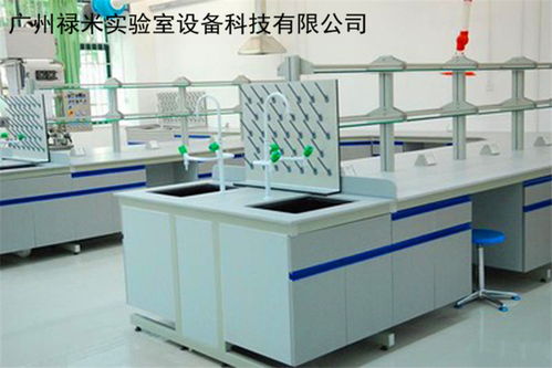 禄米实验台柜 广州直接生产加工实验台通风柜实验室家具真正厂家