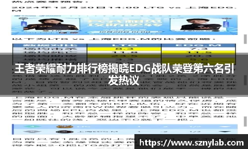 王者荣耀耐力排行榜揭晓EDG战队荣登第六名引发热议