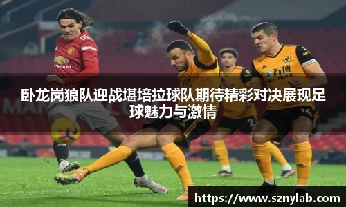 3377体育官网